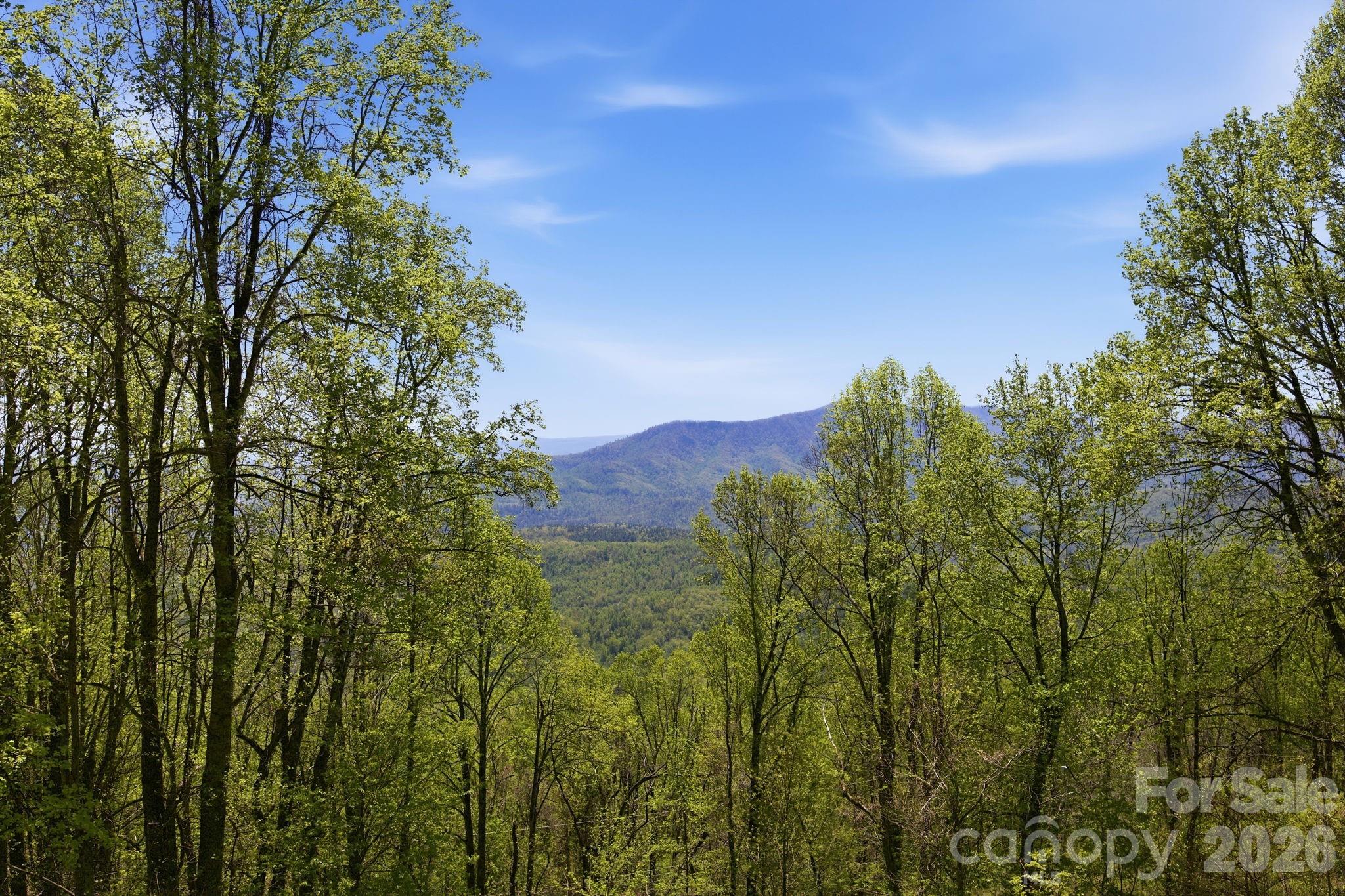 199 Alpine Drive Marion, NC 28752 - Photo 39 of 44