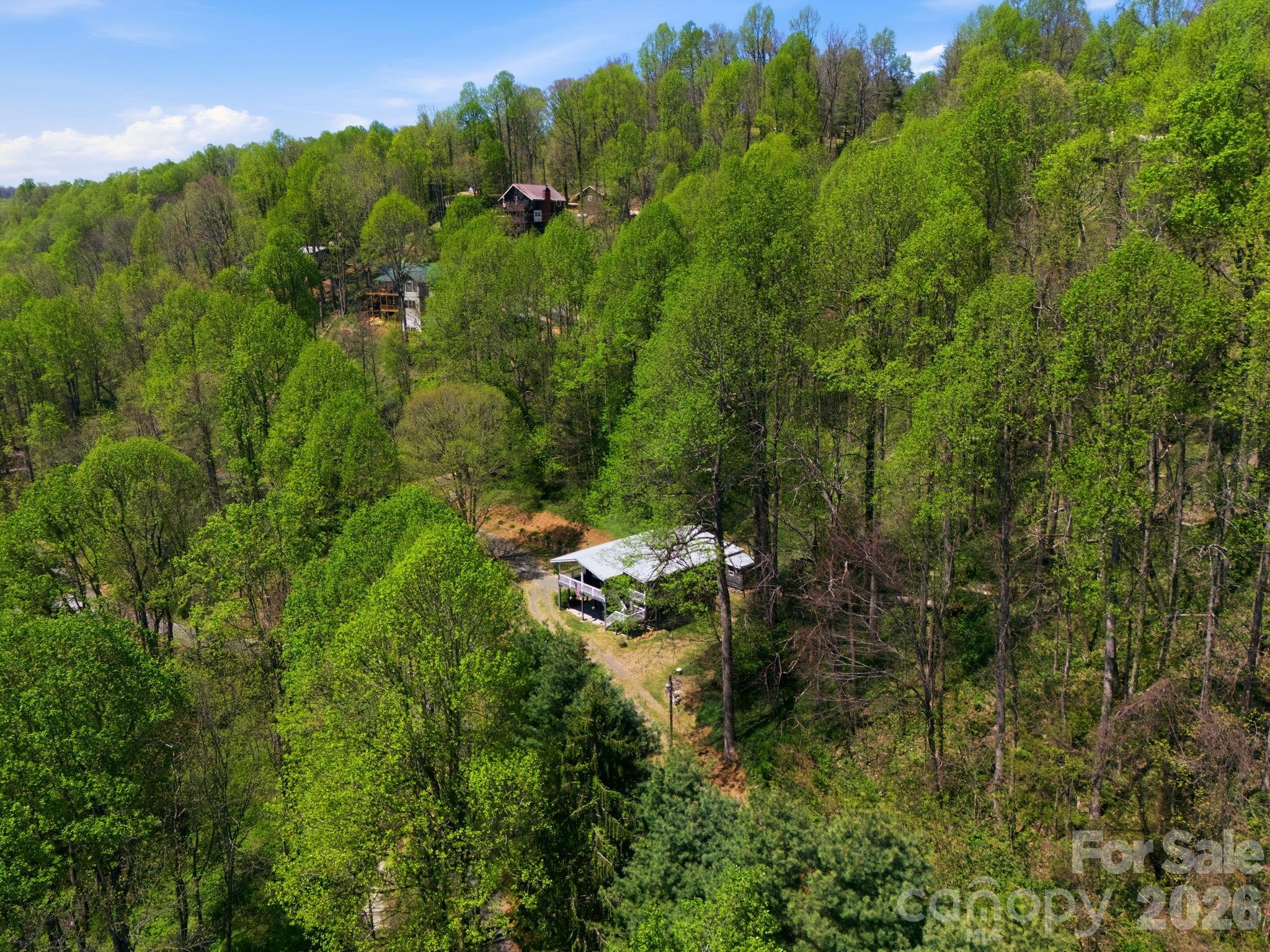 199 Alpine Drive Marion, NC 28752 - Photo 9 of 44