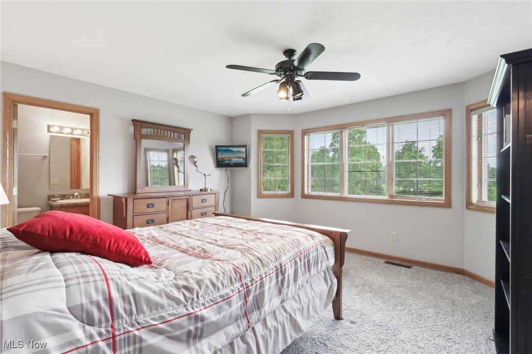1491 Ridgewood Road Wadsworth, OH 44281 - Photo 14 of 36 Bedroom featuring a wakk of windows and an ensuite bath.