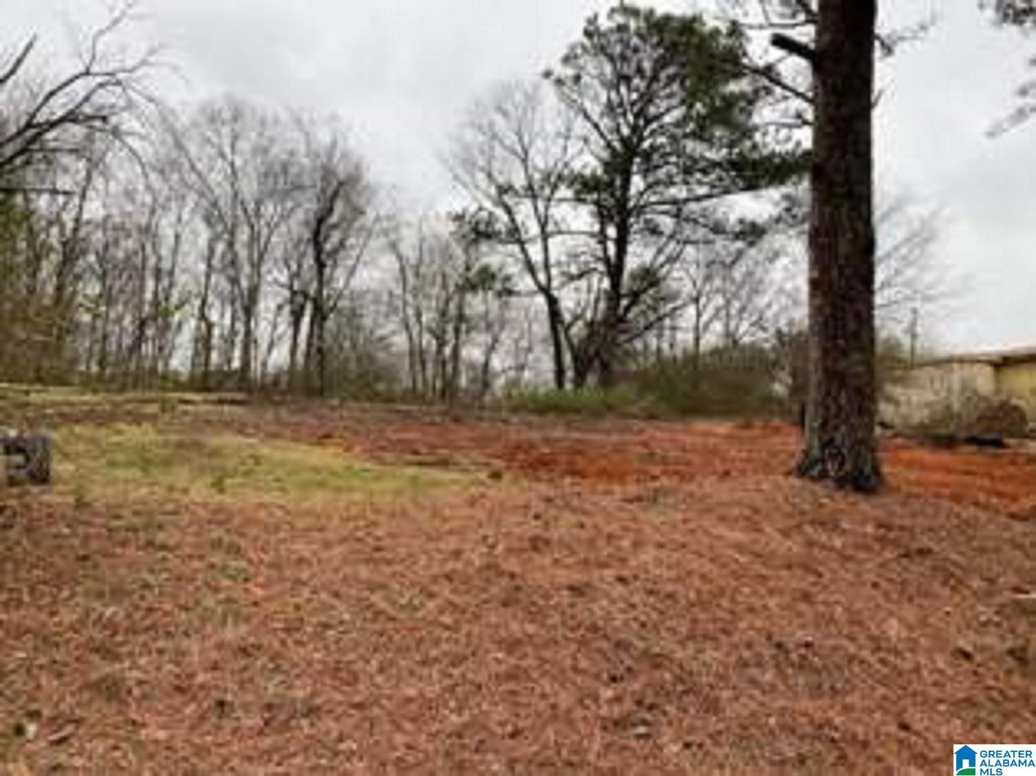 1716 Maple Avenue Southwest, Unit 5 Birmingham, AL 35211 - Photo 2 of 12
