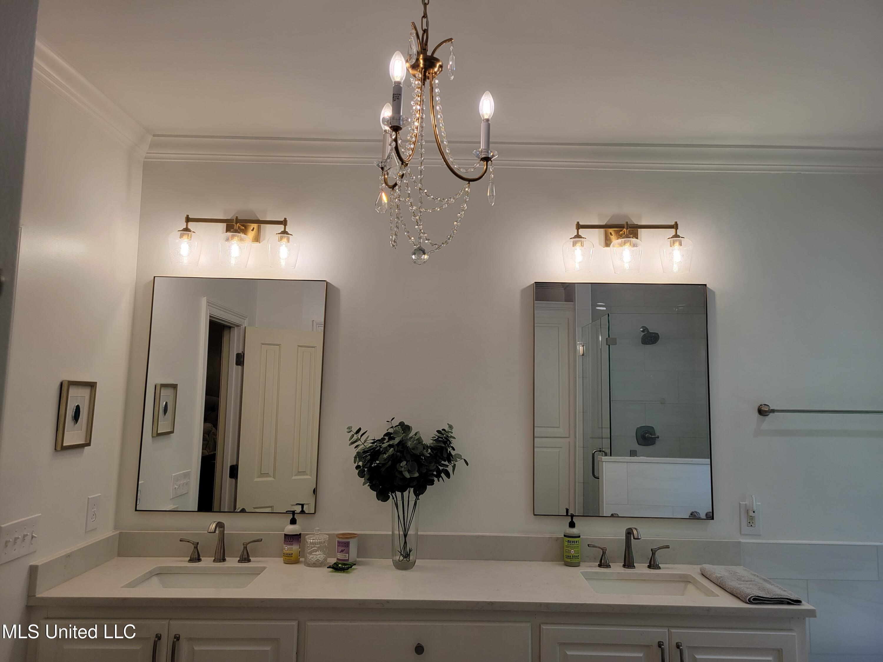 506 Hazelton Drive Madison, MS 39110 - Photo 23 of 49 20250801_103221