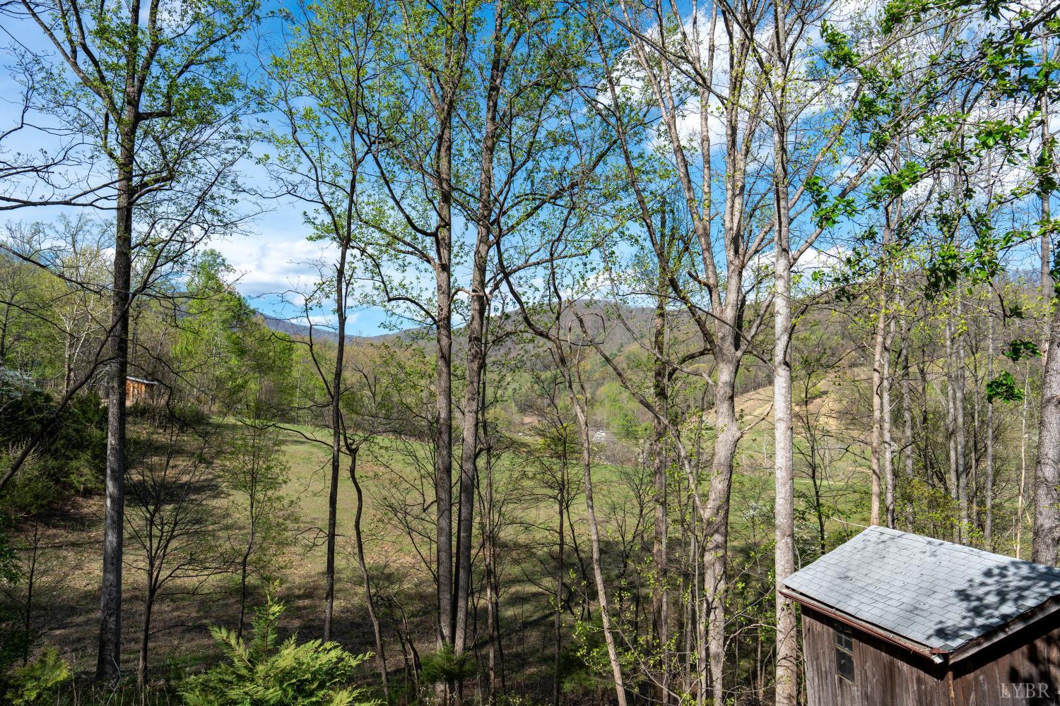 892 Franklin Creek Road Amherst, VA 24521 - Photo 6 of 32
