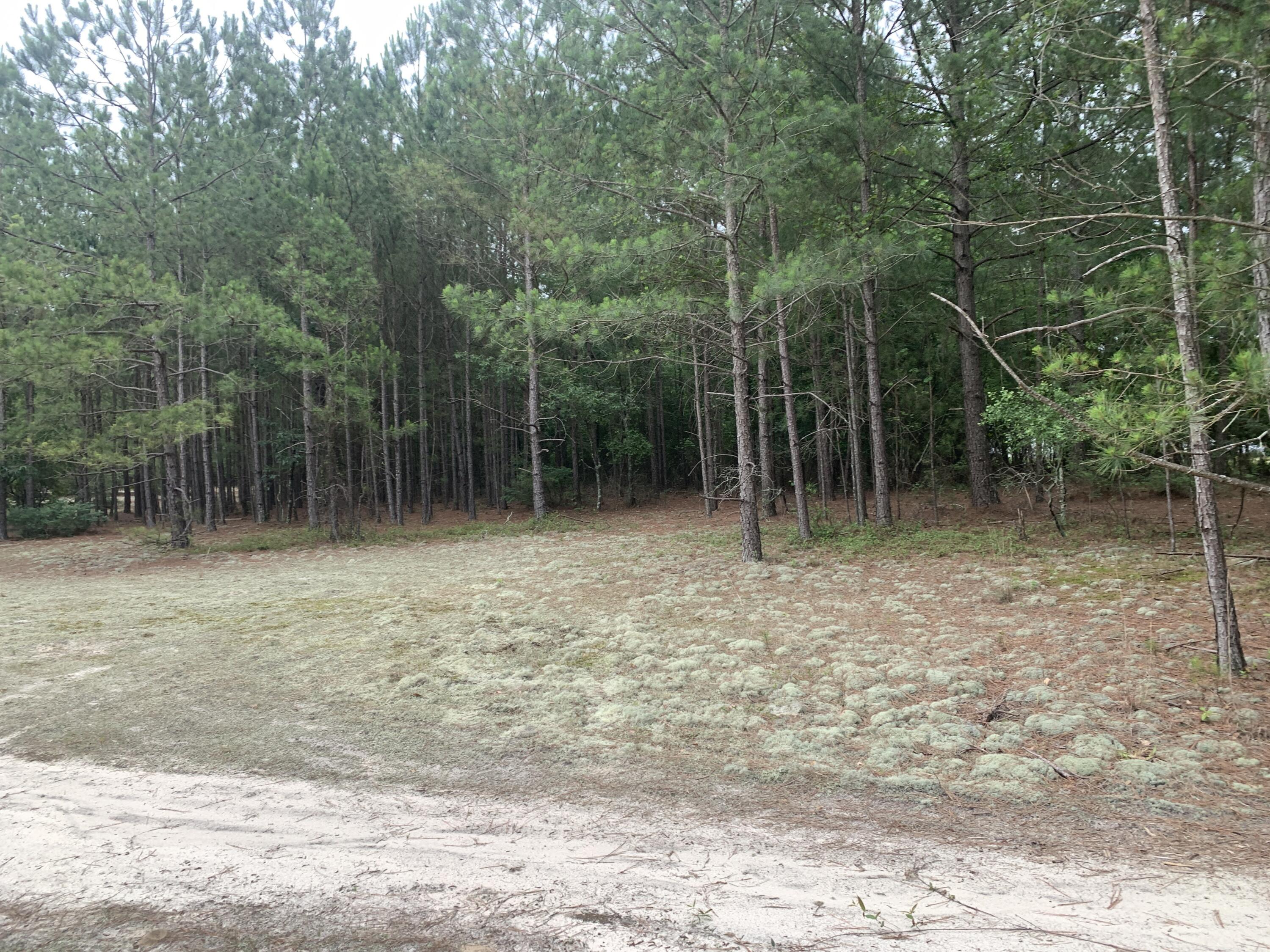 B-1 Keys Pond Road Ridge Spring, SC 29129 - Photo 1 of 13 IMG_4252