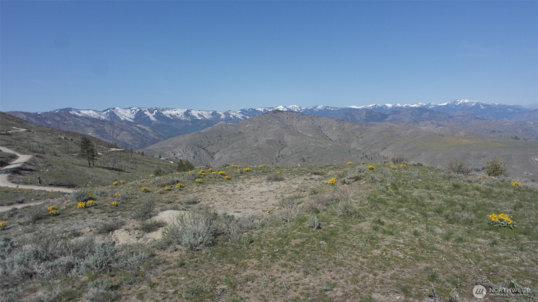 31 Cowboy Road Pateros, WA 98846 - Photo 11 of 38 a view of a dry yard with mountains in the background
