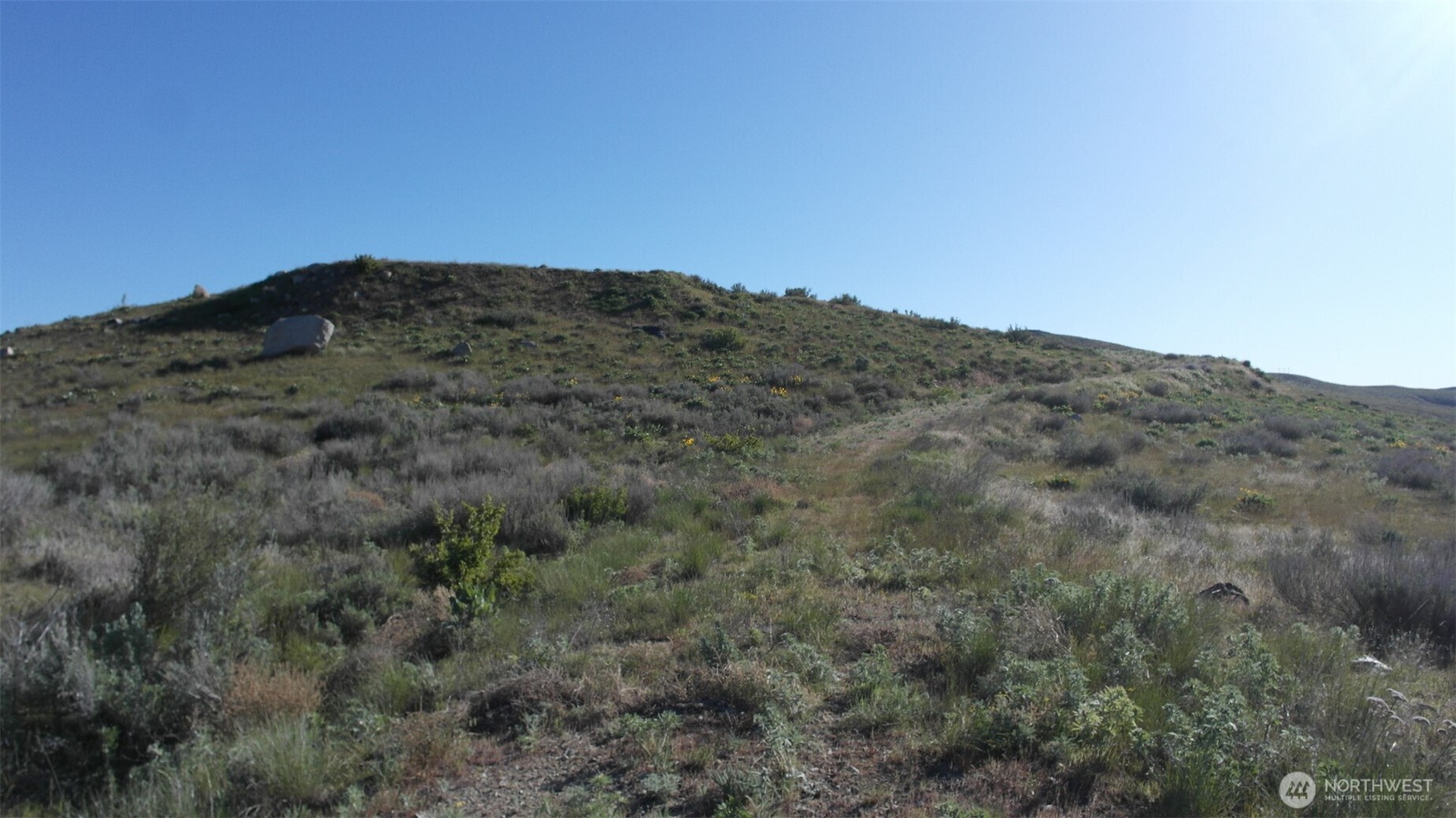 31 Cowboy Road Pateros, WA 98846 - Photo 14 of 38 a view of a mountain range with trees in the background