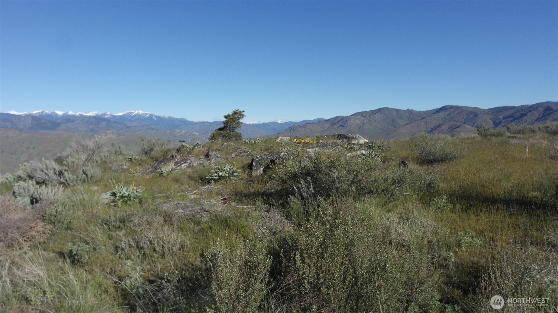 31 Cowboy Road Pateros, WA 98846 - Photo 15 of 38 a view of a forest with mountains in the background