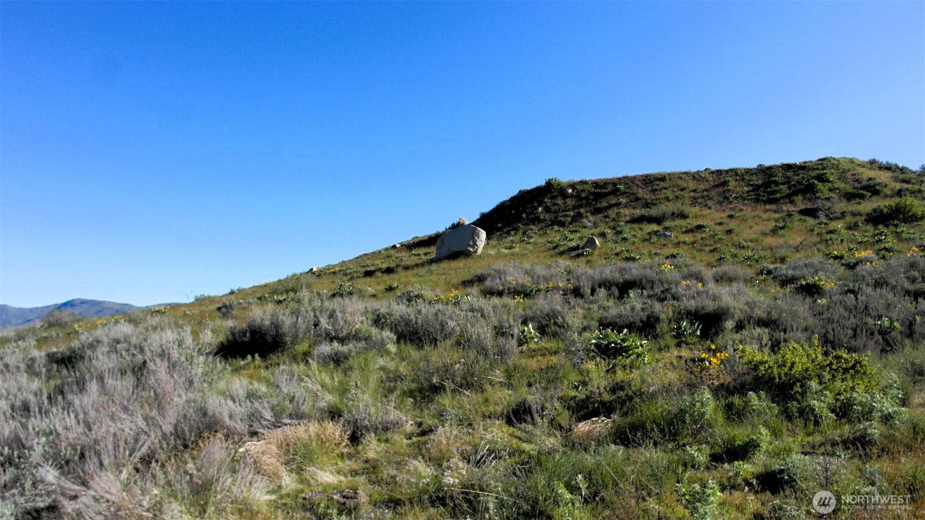 31 Cowboy Road Pateros, WA 98846 - Photo 22 of 38 a view of a field