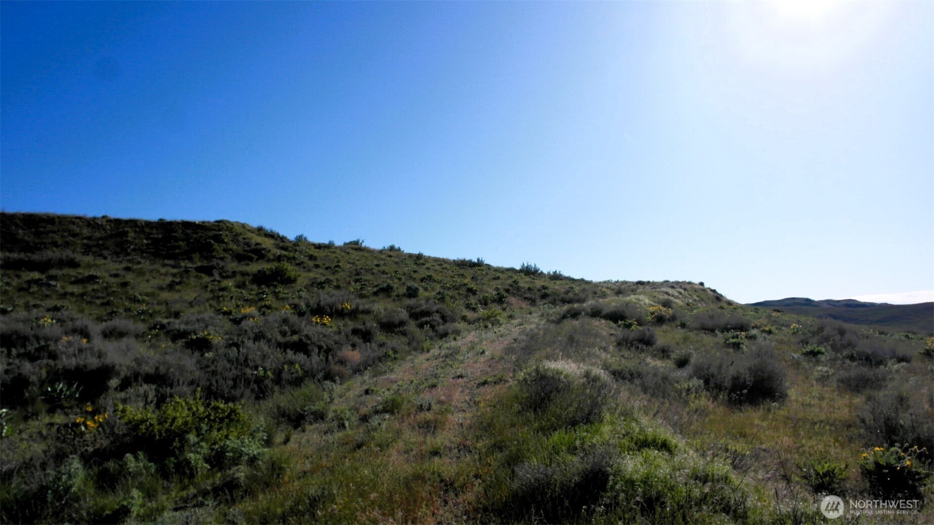 31 Cowboy Road Pateros, WA 98846 - Photo 23 of 38 a view of a mountain range with trees in the background