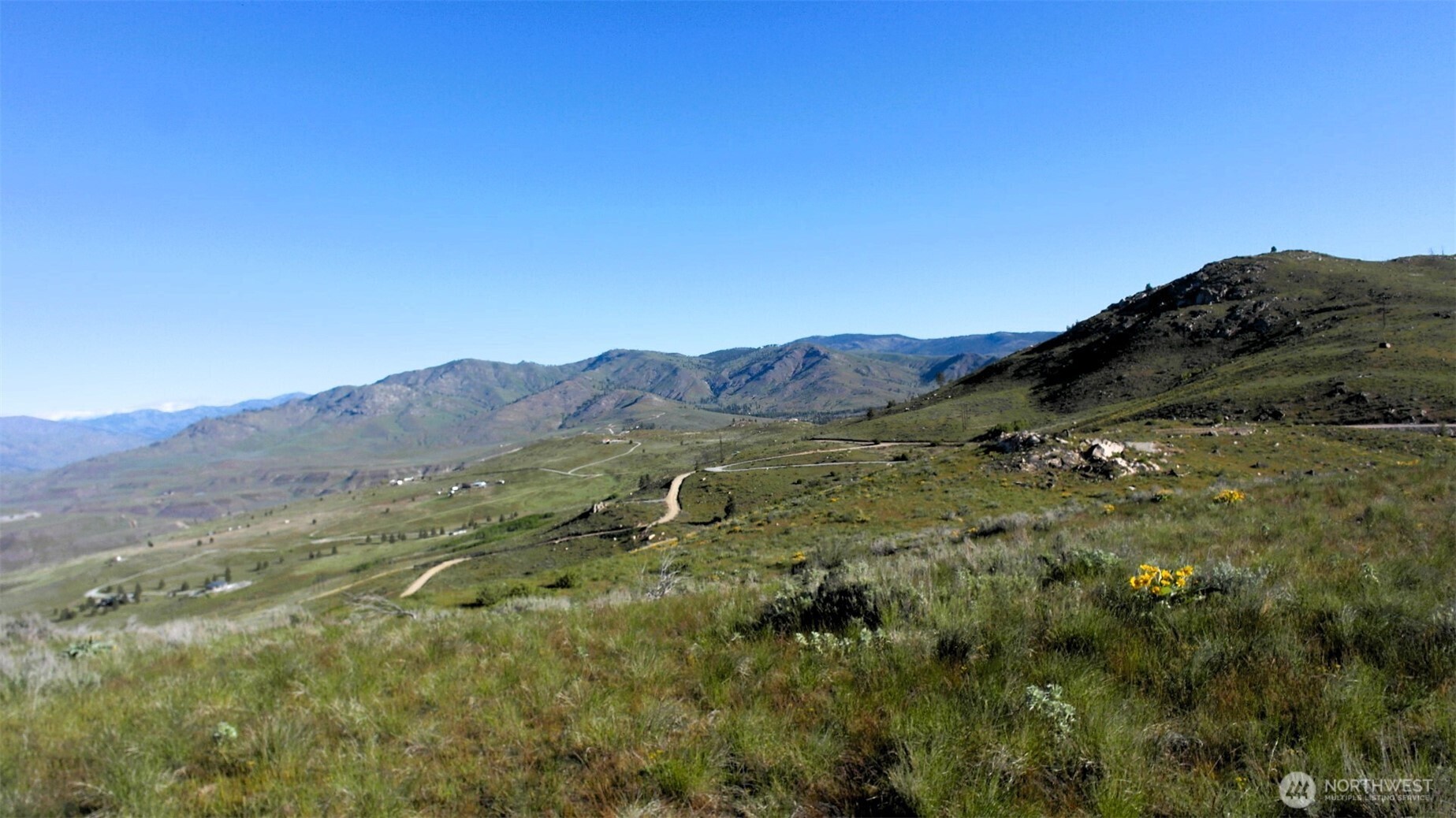 31 Cowboy Road Pateros, WA 98846 - Photo 31 of 38 a view of a mountain range with lush green forest