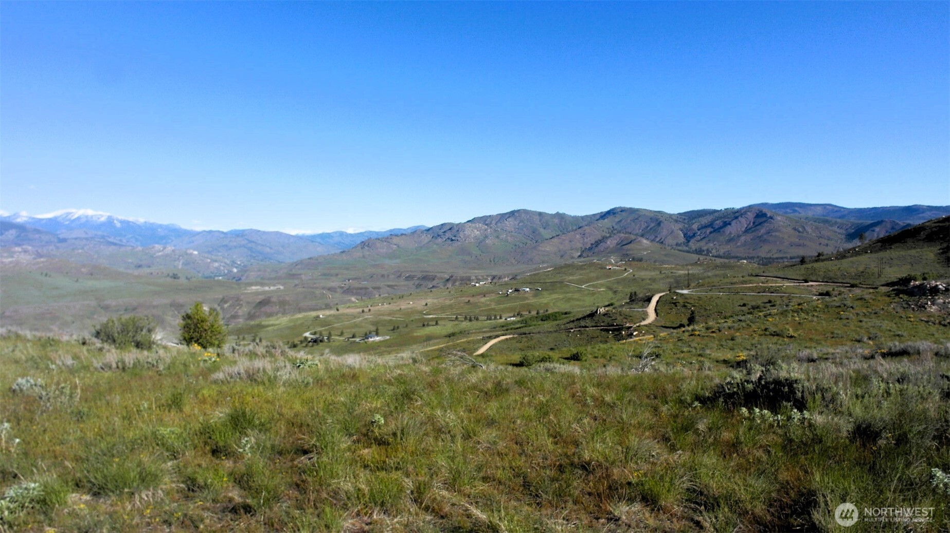 31 Cowboy Road Pateros, WA 98846 - Photo 32 of 38 a view of a lush green field with mountains in the background