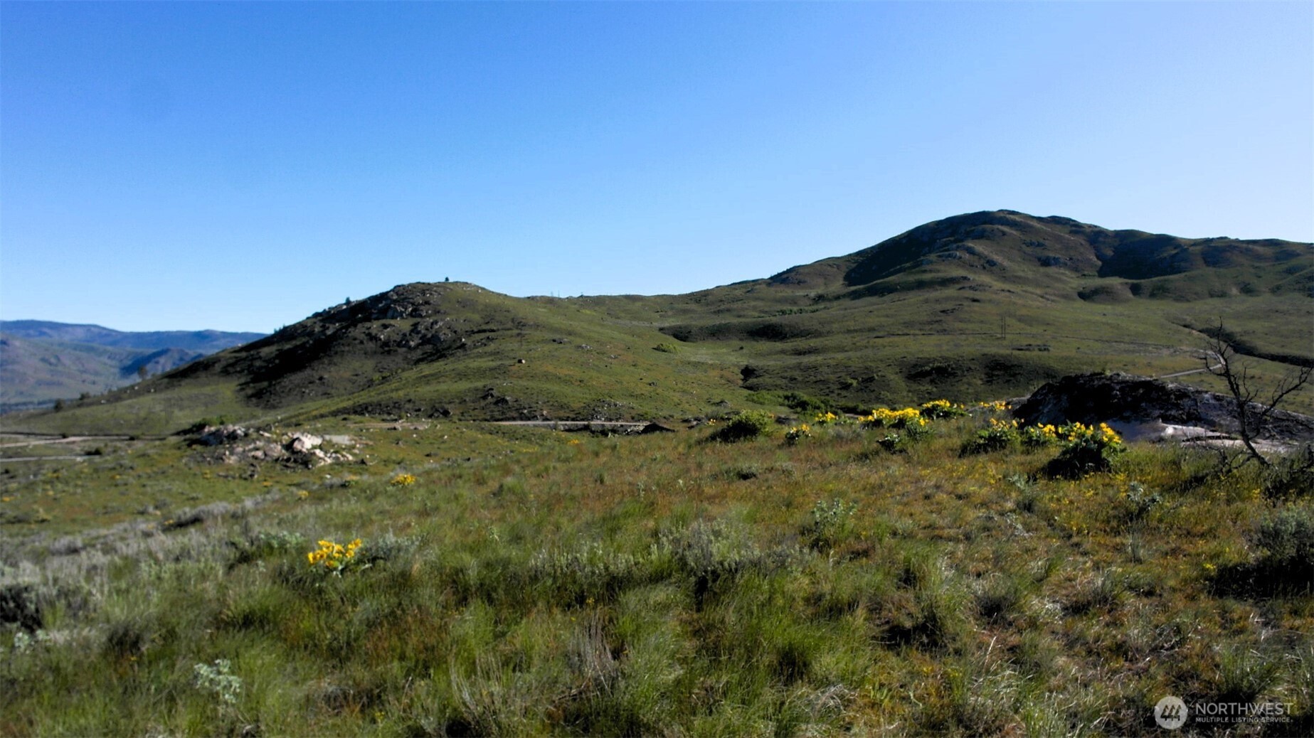 31 Cowboy Road Pateros, WA 98846 - Photo 33 of 38 a view of a mountain in the distance in a field