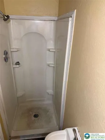 a bathroom with a shower and toilet