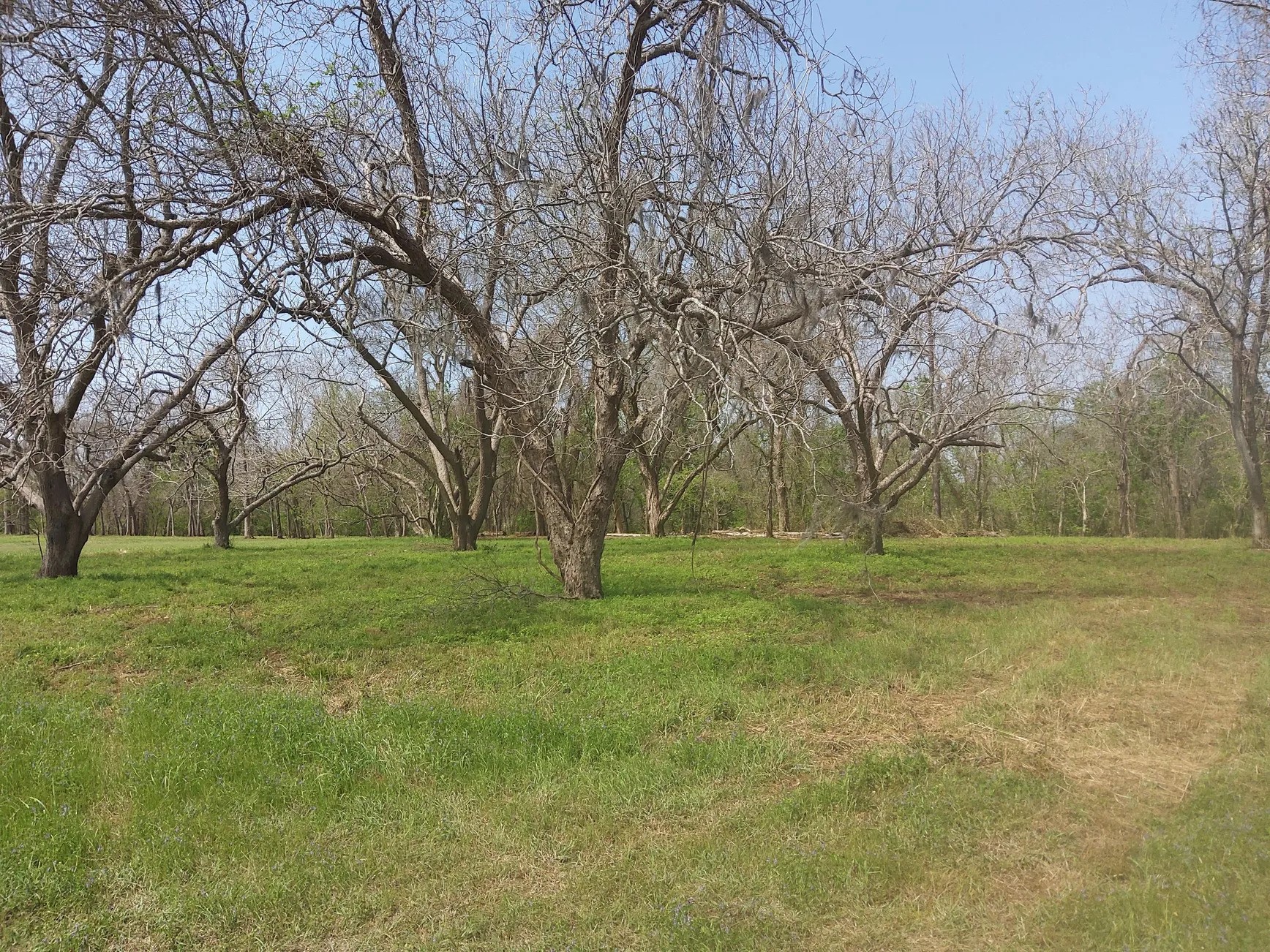 Lot 1 FM 521 Road Angleton, TX 77515 - Photo 4 of 34