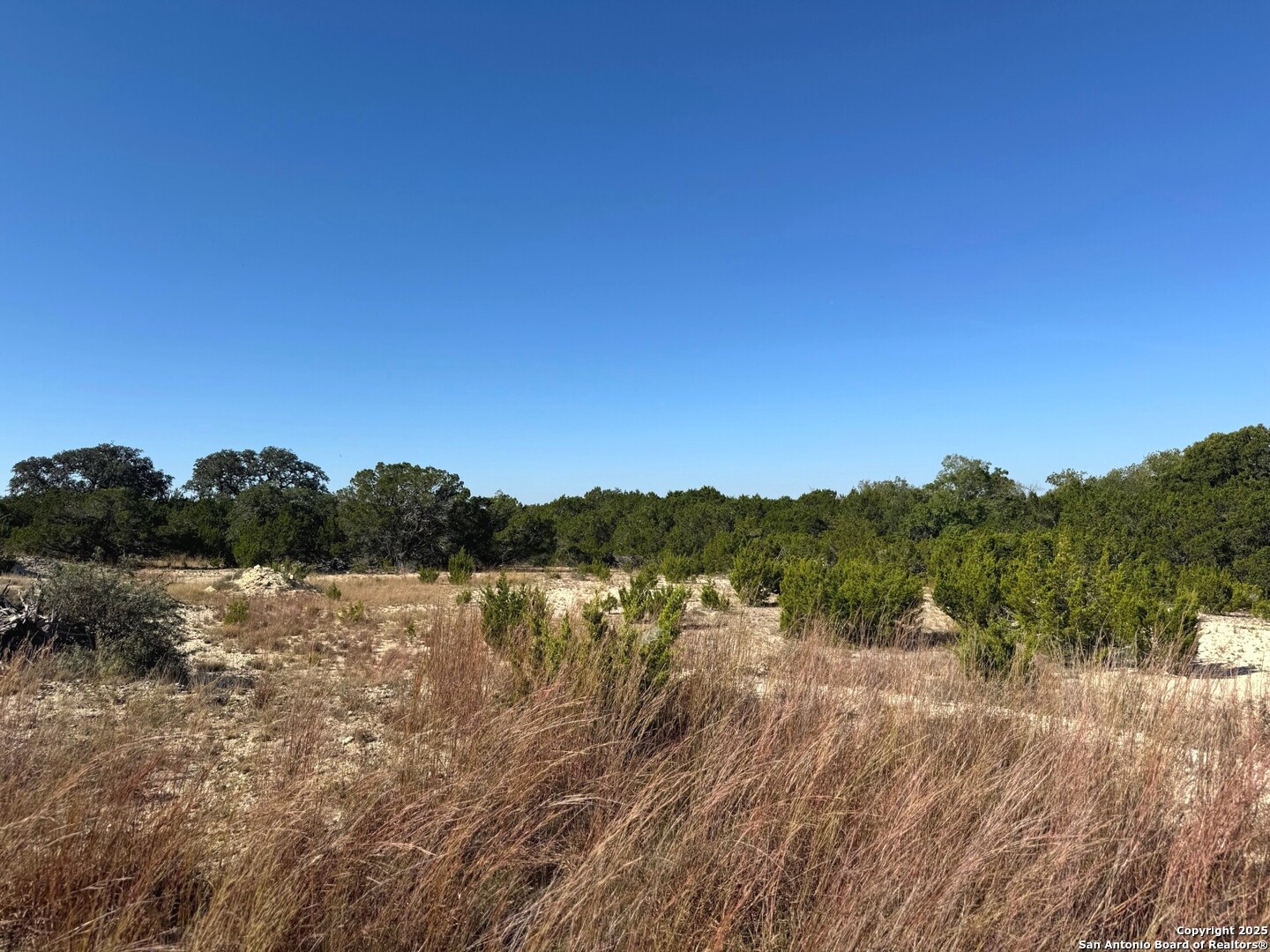 Tbd Fm 2828 Bandera, TX 78003 - Photo 3 of 8