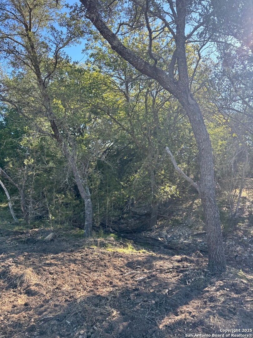 Tbd Fm 2828 Bandera, TX 78003 - Photo 4 of 8