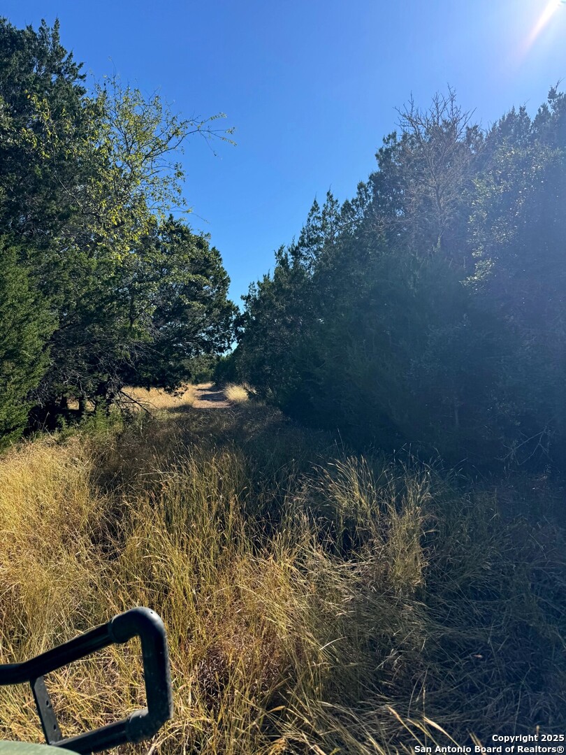 Tbd Fm 2828 Bandera, TX 78003 - Photo 5 of 8