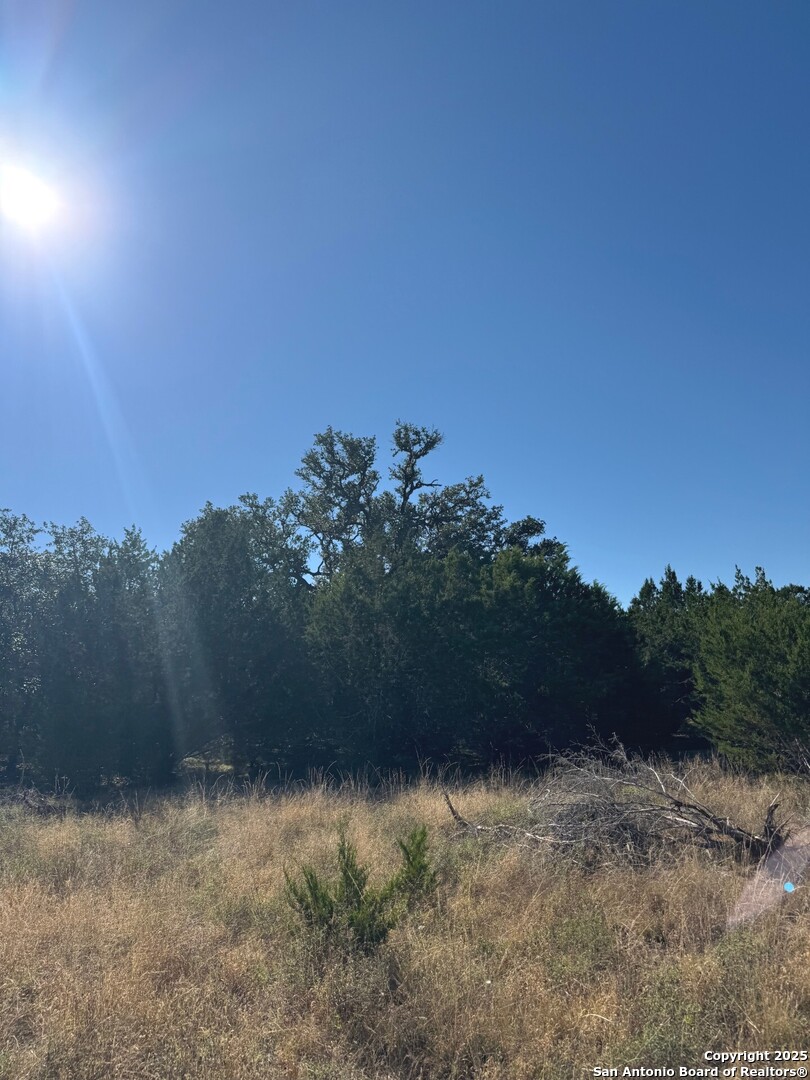 Tbd Fm 2828 Bandera, TX 78003 - Photo 6 of 8