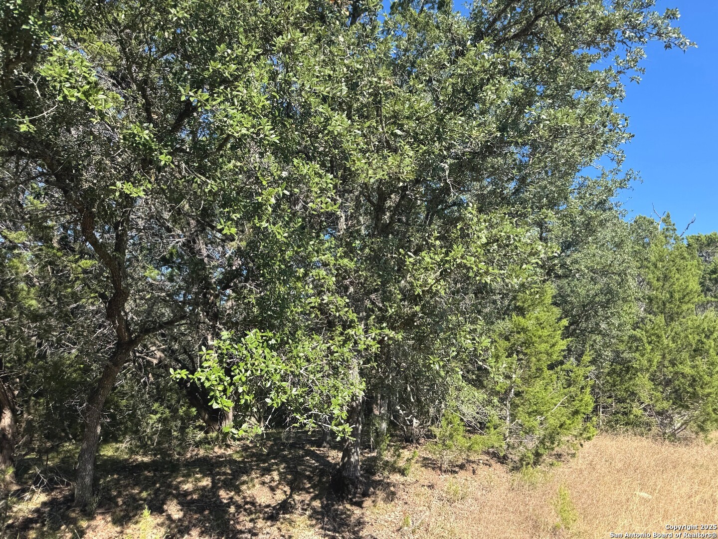 Tbd Fm 2828 Bandera, TX 78003 - Photo 8 of 8