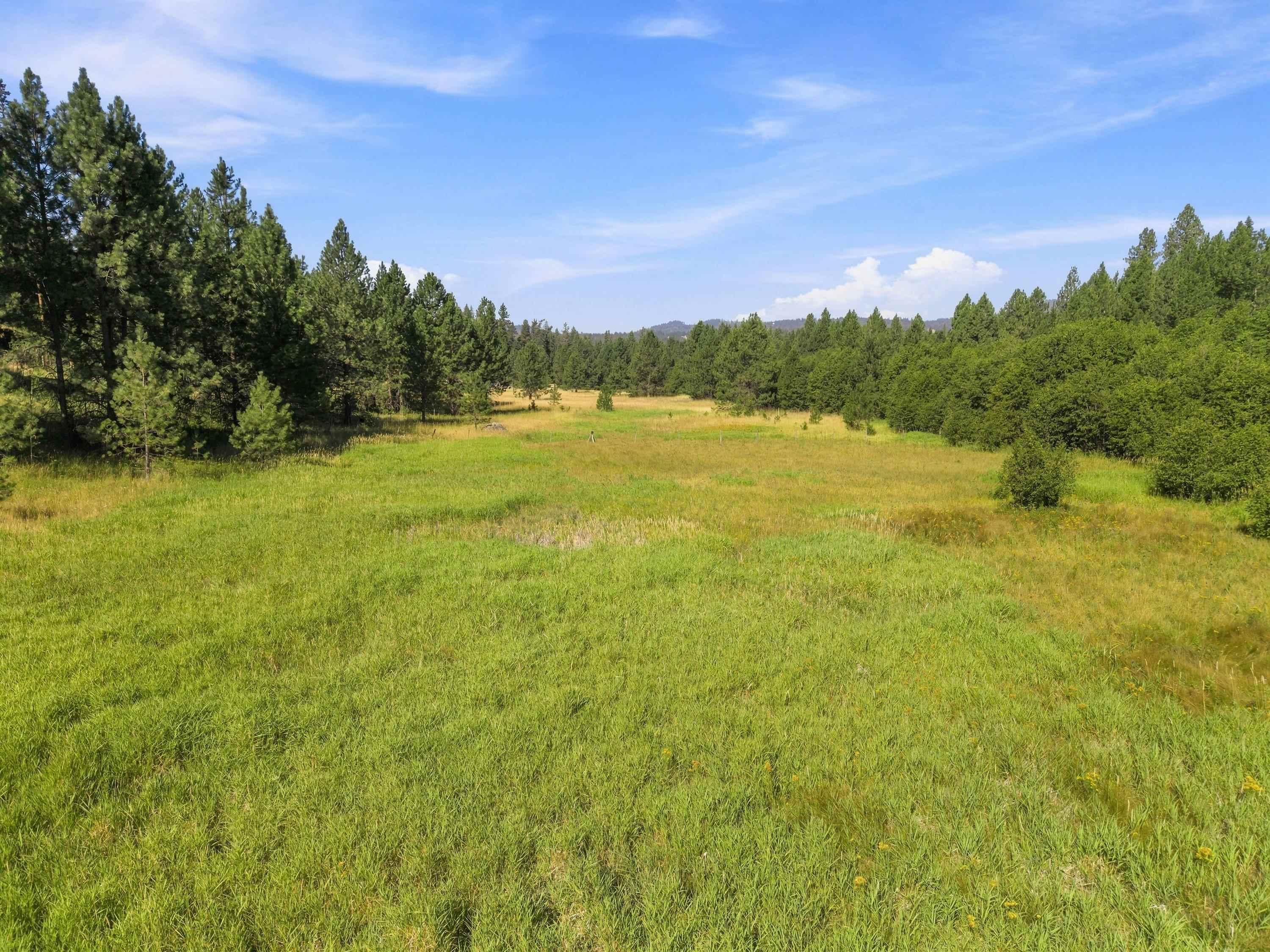 2132 Nicholson Road Elk, WA 99009 - Photo 34 of 48 Gallery Image 34