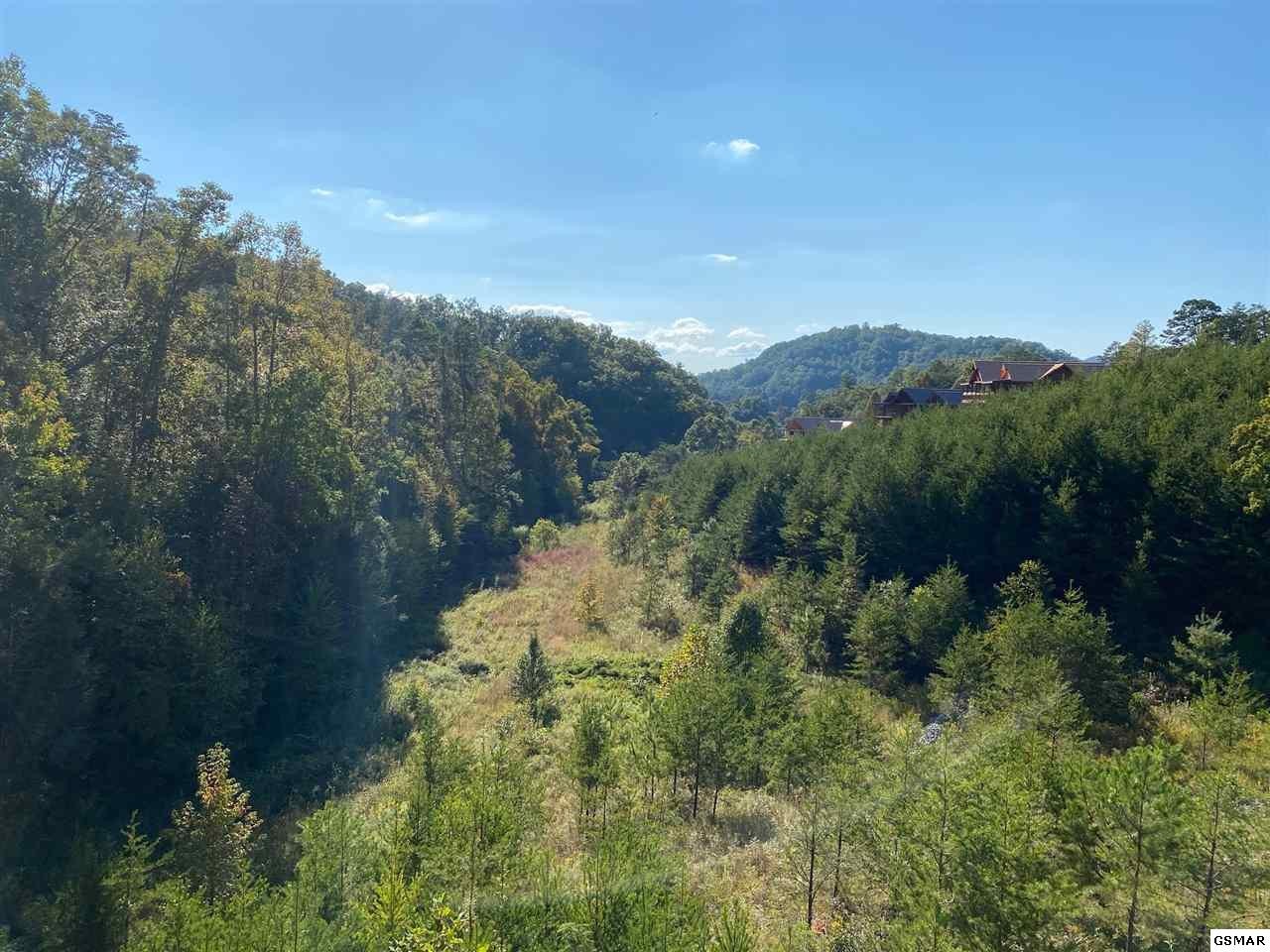 9 Owens Rdg Way Sevierville, TN 37876 - Photo 11 of 13