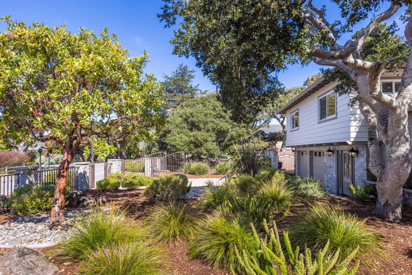 3125 Bird Rock Road Pebble Beach, CA 93953 - Photo 5 of 35 a view of a yard with plants and large trees