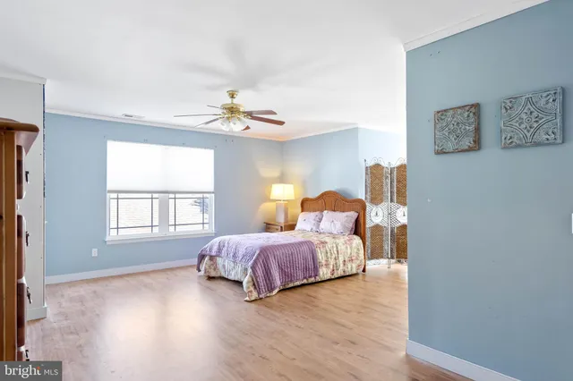 a front view of a house with a yard and potted plants