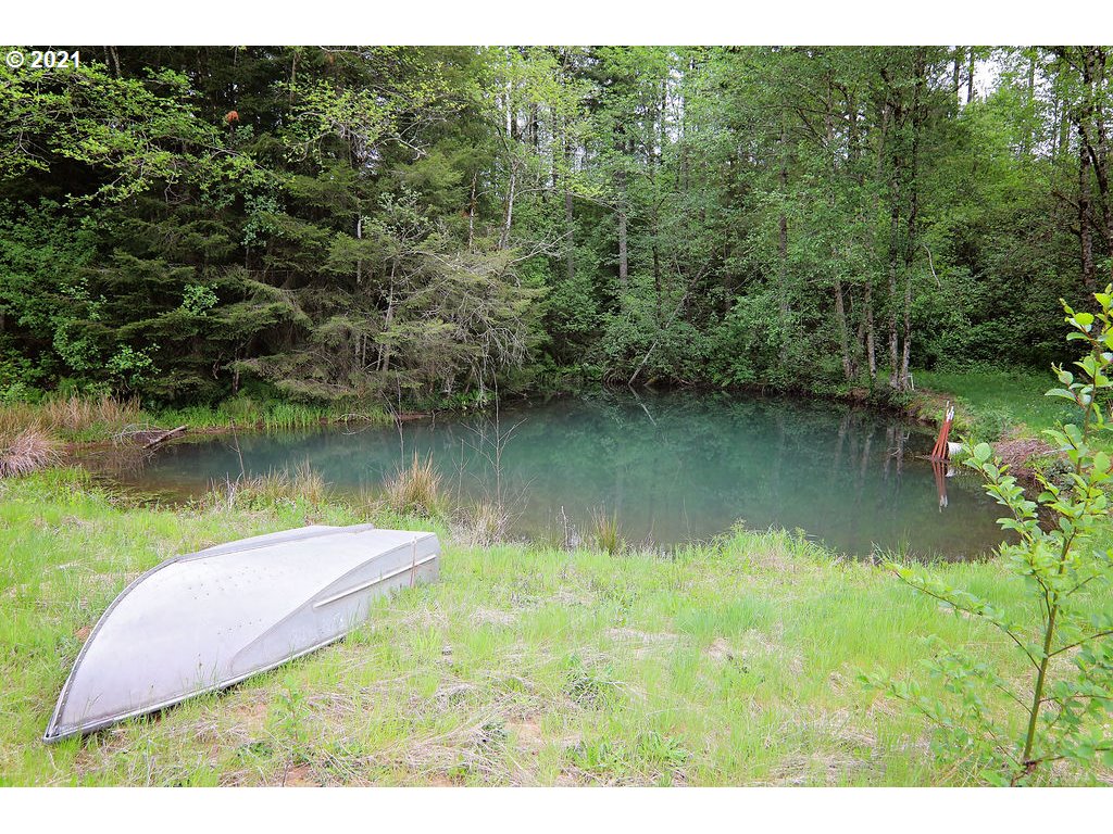 44174 Southeast Pagh Road Sandy, OR 97055 - Photo 22 of 32 a view of a lake in middle of forest
