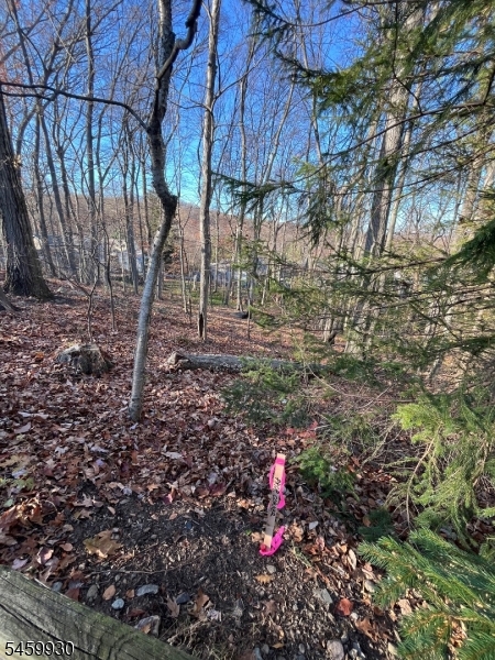 22 Mountain Road Denville, NJ 07834 - Photo 1 of 4 Gallery Image 1