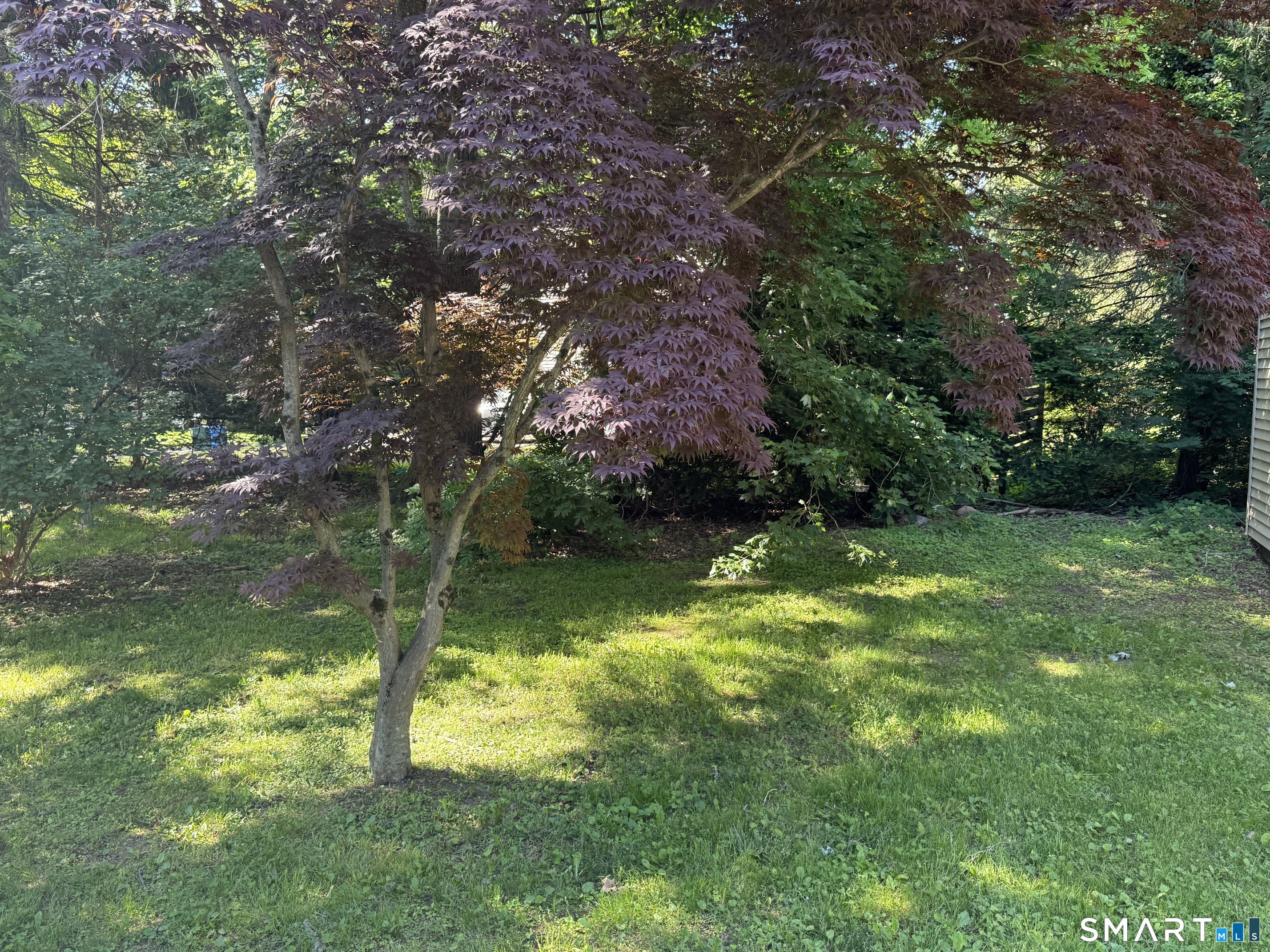 134 Forest Street Hamden, CT 06518 - Photo 21 of 21