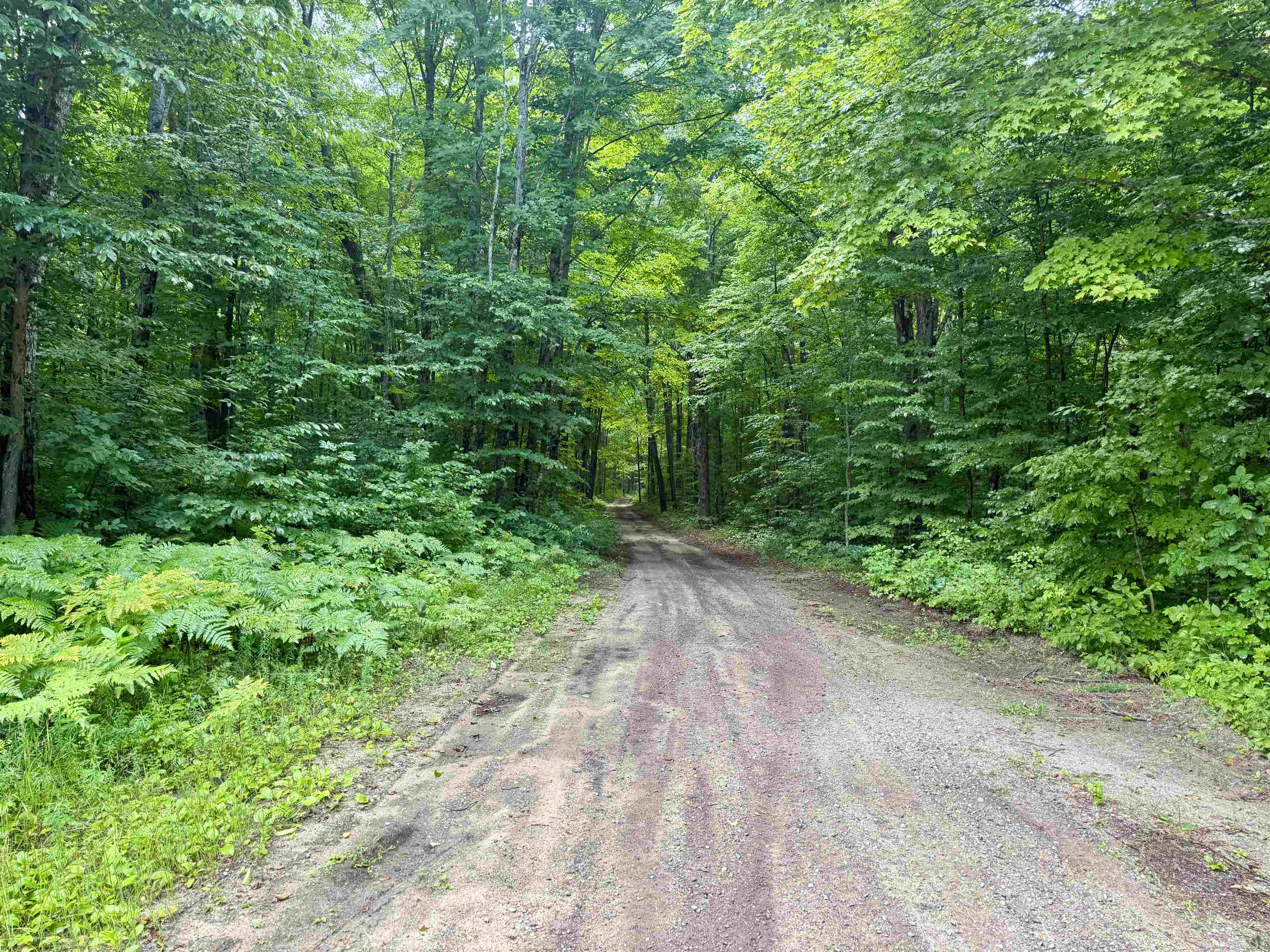 4989 State Road Interlochen, MI 49643 - Photo 17 of 21 1948679-8056e495-b384-4f6b-9e2b-26463194f24d.JPG