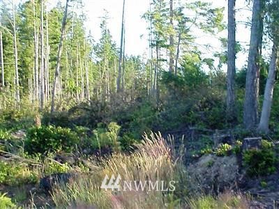 2711 Gybe Ho Road Nordland, WA 98358 - Photo 1 of 1 Gallery Image 1
