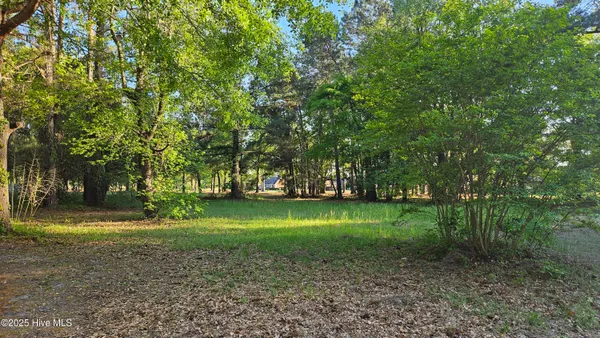 $48,000 | 176 Red Fox Run Drive, Wallace, NC 28466
