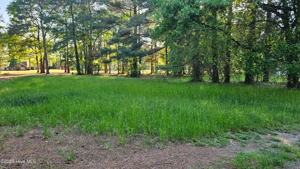 $48,000 | 176 Red Fox Run Drive, Wallace, NC 28466