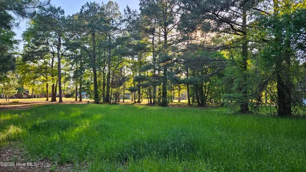 $48,000 | 176 Red Fox Run Drive, Wallace, NC 28466