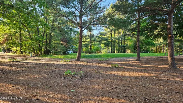 $48,000 | 176 Red Fox Run Drive, Wallace, NC 28466