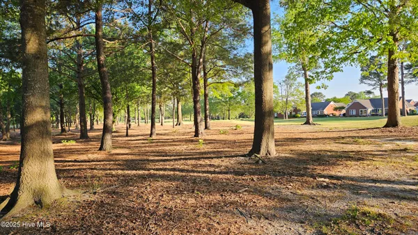 $48,000 | 176 Red Fox Run Drive, Wallace, NC 28466