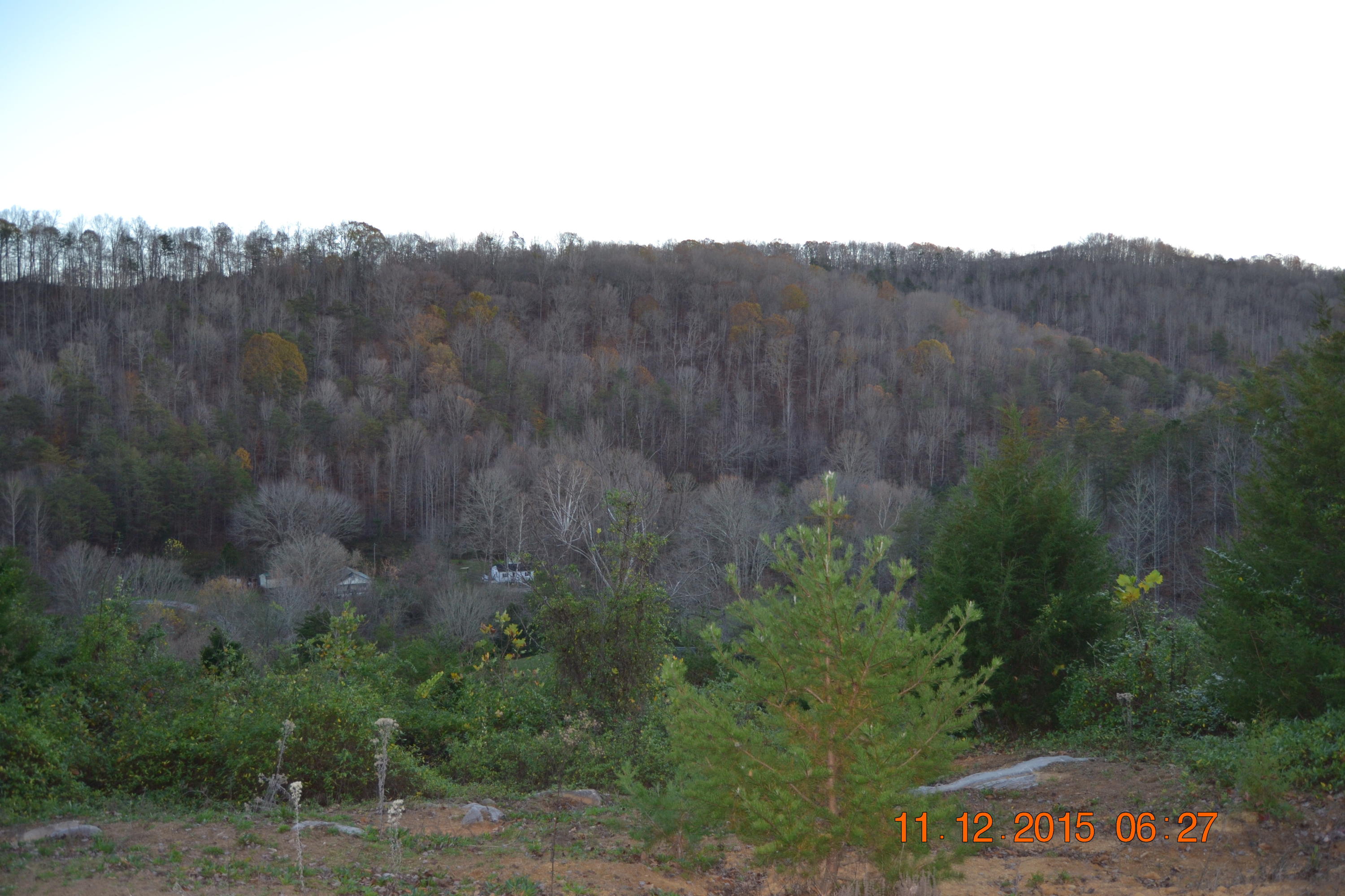 371 Kettle Hollow Road Maynardville, TN 37807 - Photo 22 of 28 DSC_0618