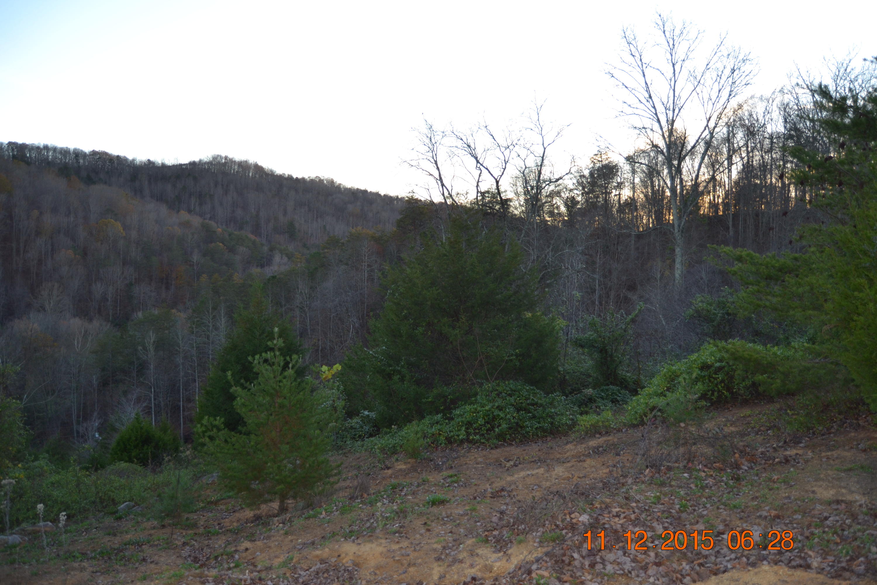 371 Kettle Hollow Road Maynardville, TN 37807 - Photo 23 of 28 DSC_0619