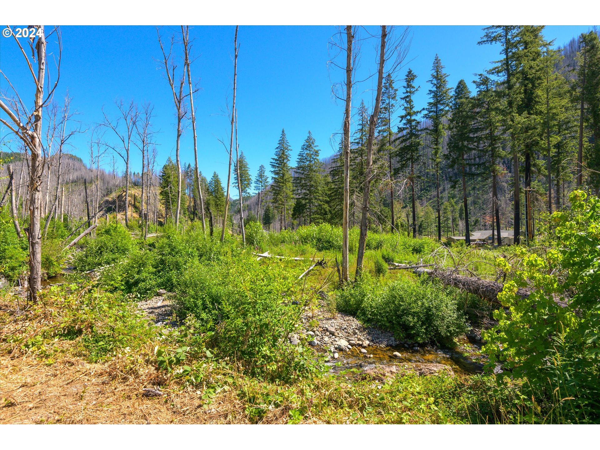 River Road Blue River, OR 97413 - Photo 34 of 40