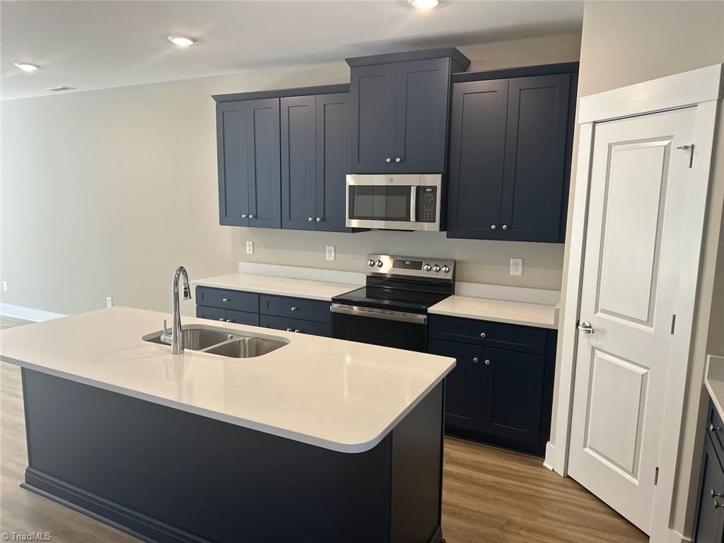 7329 Dew Sharpe Road Gibsonville, NC 27249 - Photo 7 of 15 new blue cabinets with white quartz counters