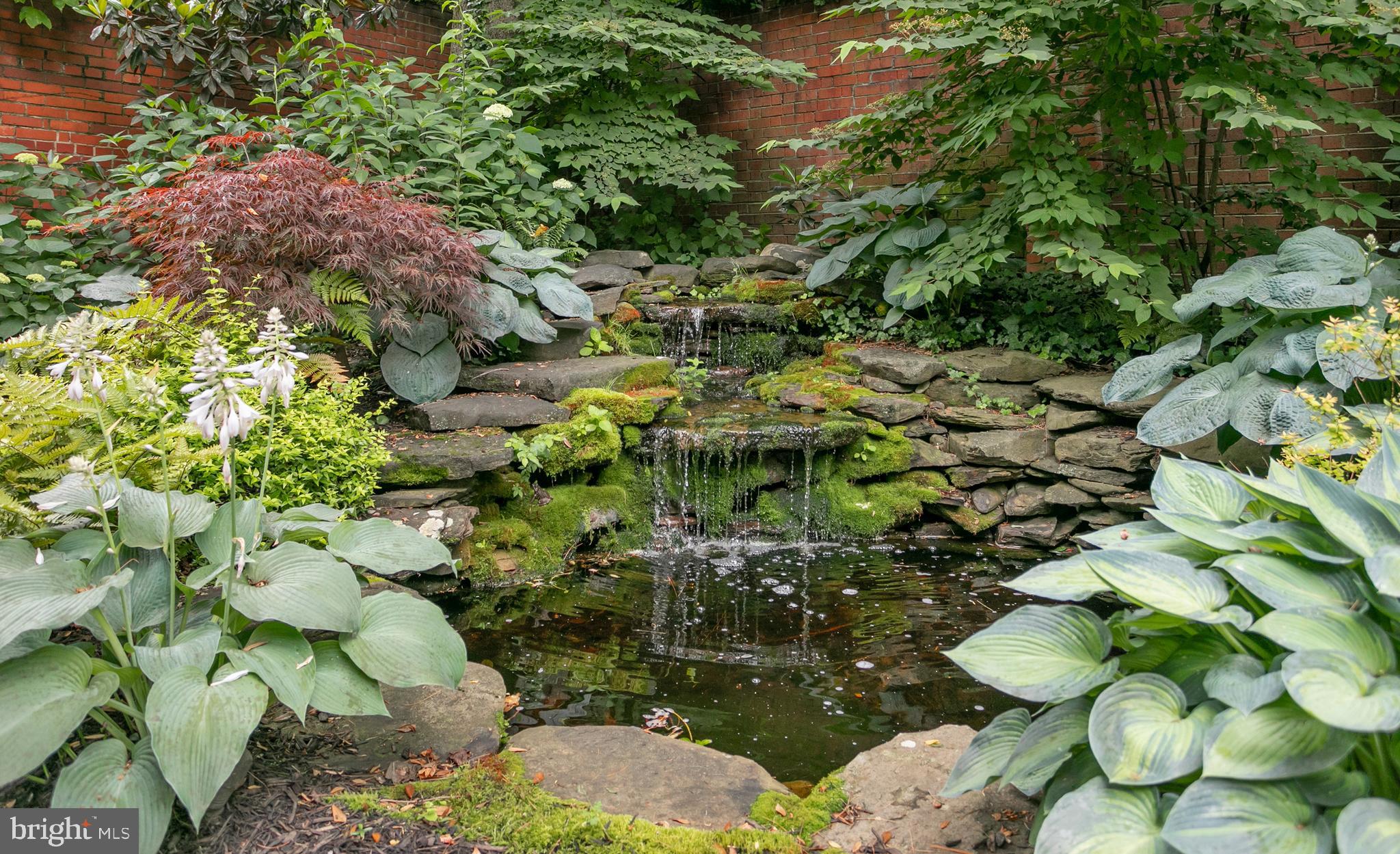 5025 Linnean Avenue Northwest Washington, DC 20008 - Photo 40 of 42 Water Feature