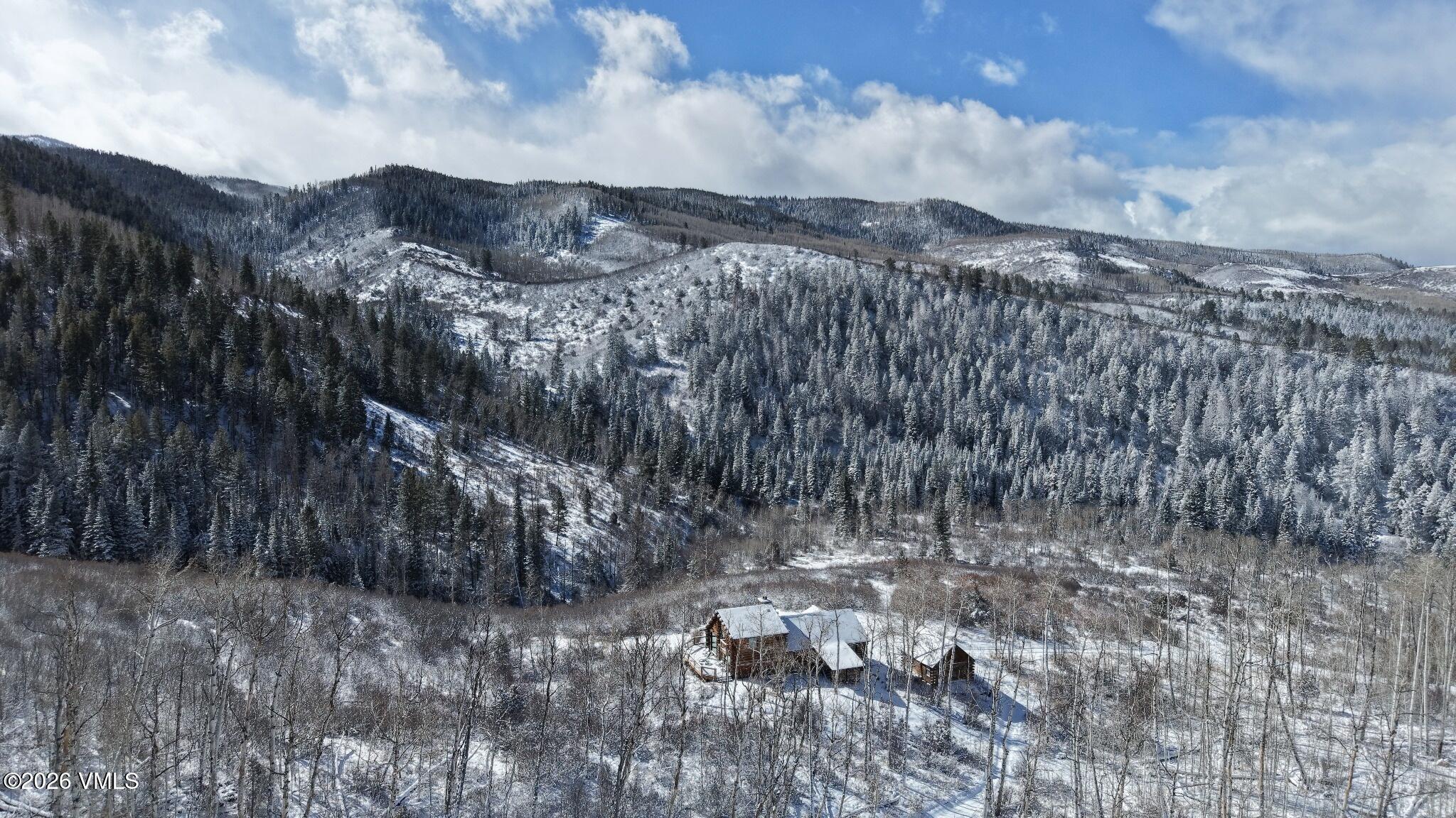 6010 Salt Creek Road Eagle, CO 81631 - Photo 46 of 69 Main House Winter
