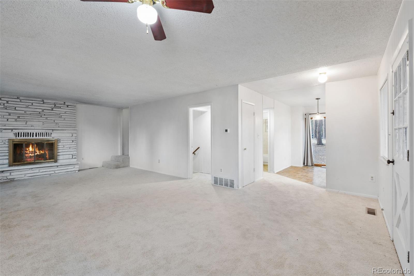 832 Spring Valley Drive Divide, CO 80814 - Photo 15 of 50