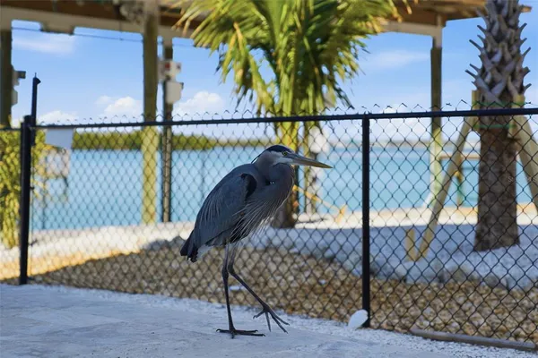 $30,000 | 220 Mockingbird Street, Englewood, FL 34223