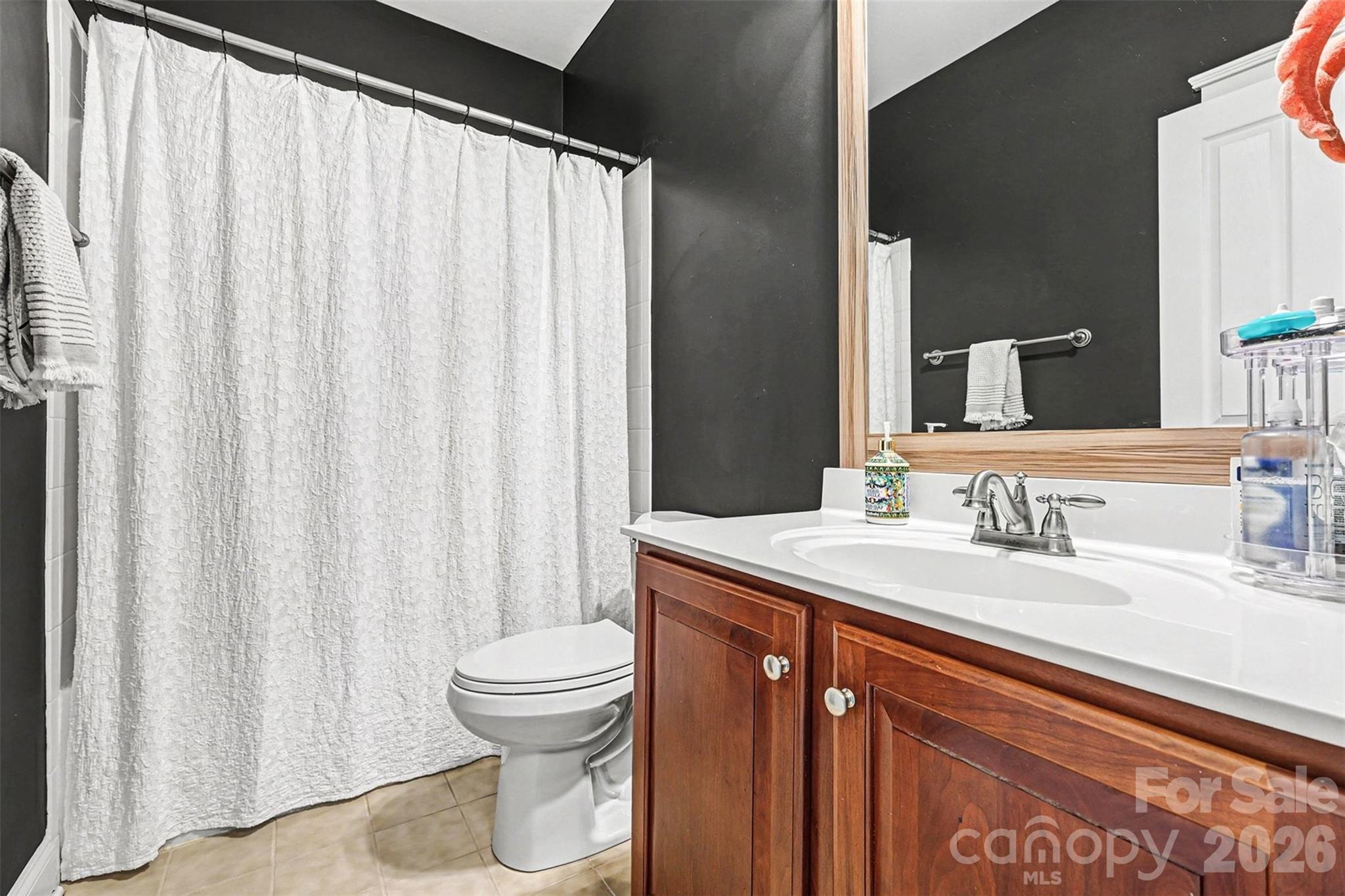 191 Lilac Mist Loop Mooresville, NC 28115 - Photo 26 of 44 a bathroom with a sink a toilet and a mirror