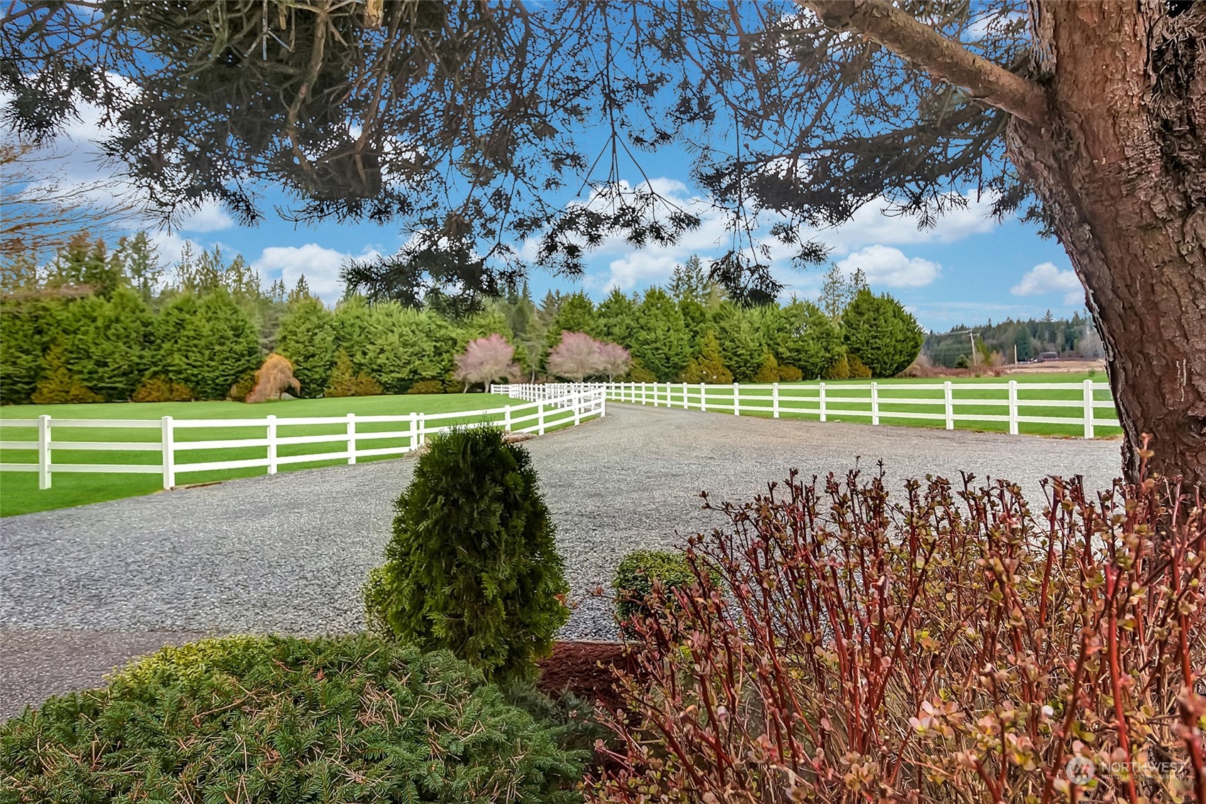 23404 Yeager Road Monroe, WA 98272 - Photo 5 of 40 a view of a park with large trees