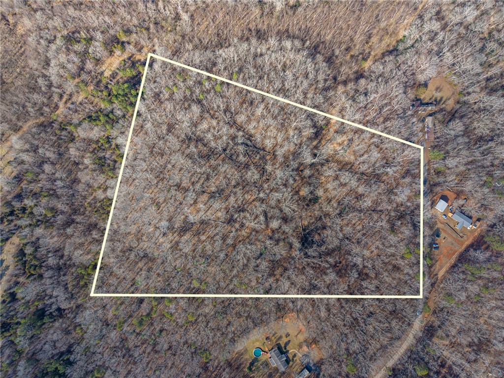 247 Stallion Drive Honea Path, SC 29654 - Photo 1 of 19 Aerial view of a sprawling wooded lot outlined for future possibilities.