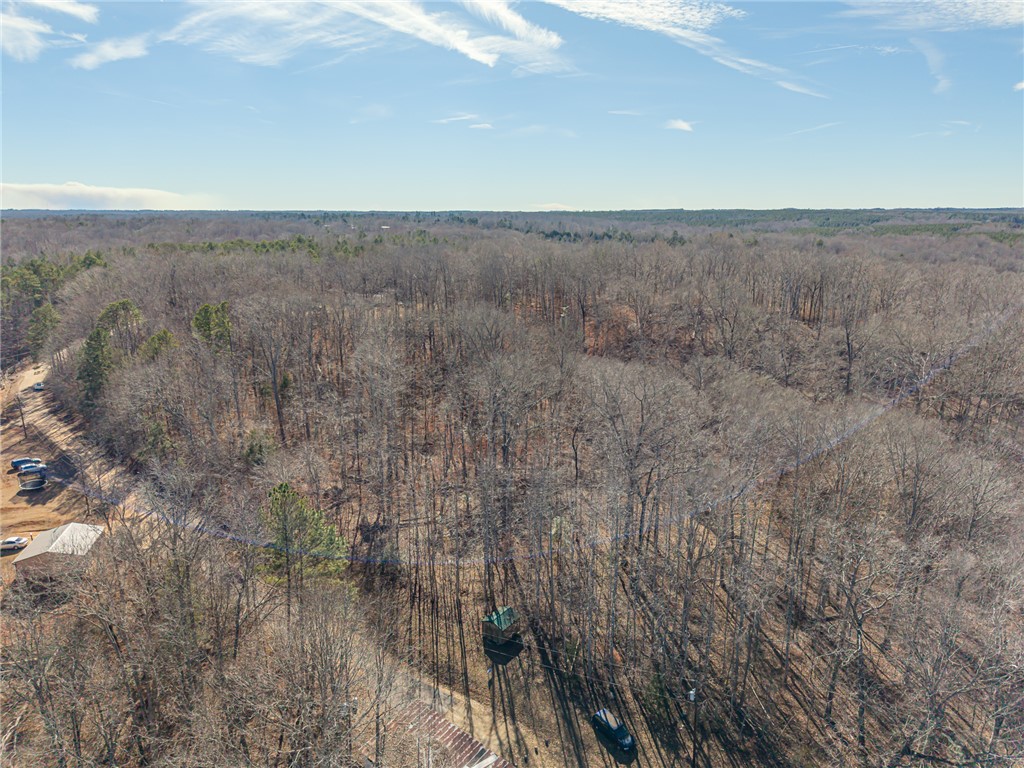 247 Stallion Drive Honea Path, SC 29654 - Photo 11 of 19 This expansive, wooded property offers serene natural surroundings and abundant privacy.
