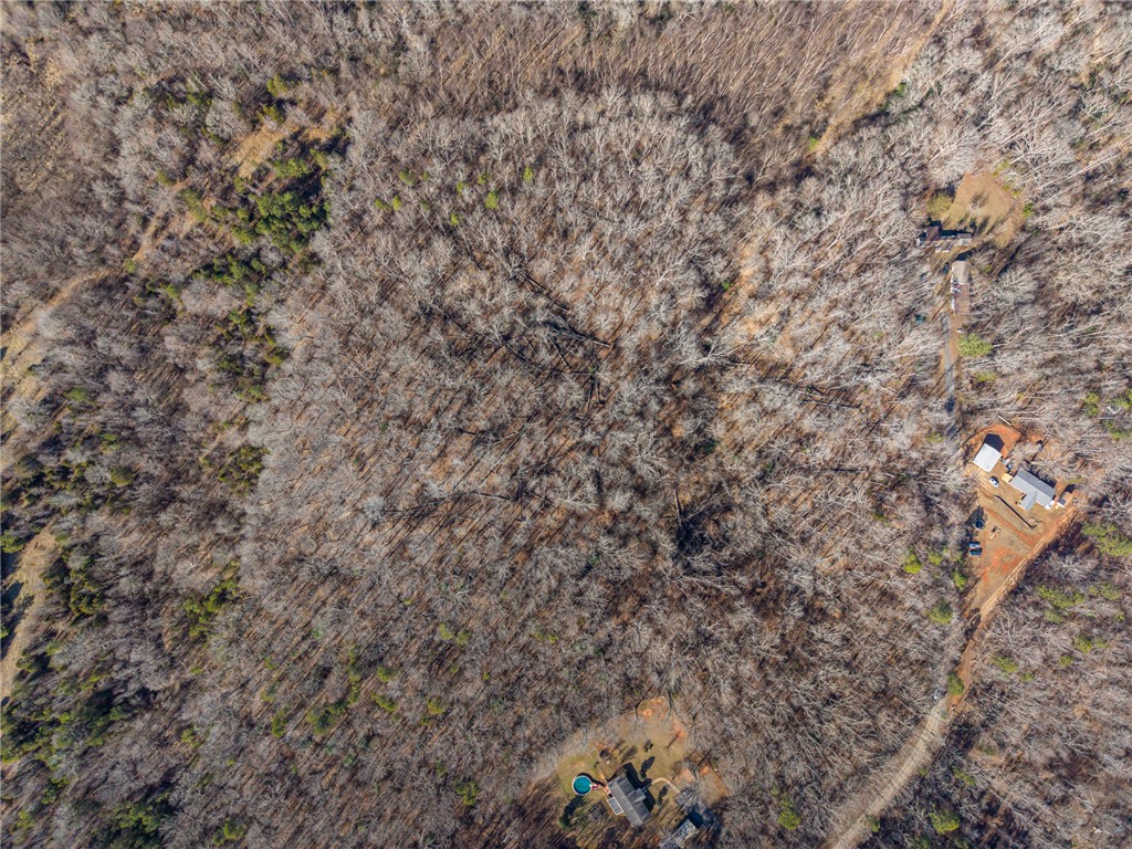247 Stallion Drive Honea Path, SC 29654 - Photo 12 of 19 An aerial perspective reveals the expansive, natural landscape surrounding this property.