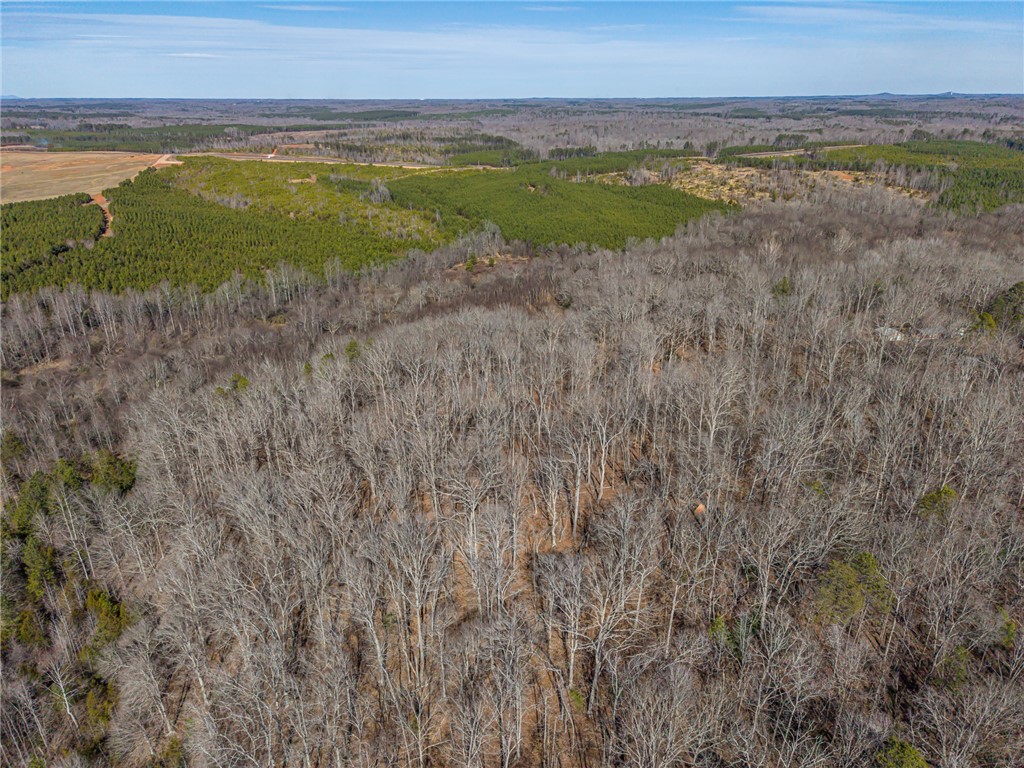 247 Stallion Drive Honea Path, SC 29654 - Photo 14 of 19 Expansive acreage offers diverse landscapes, combining dense woodlands with open fields for endless possibilities.
